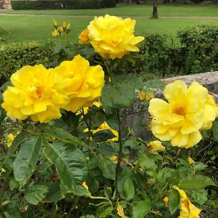 De Charme A La Campagne