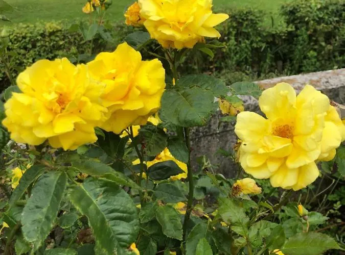 De Charme A La Campagne